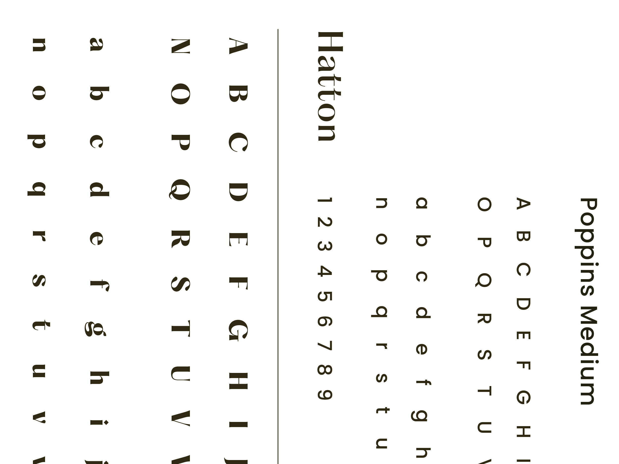Typefaces